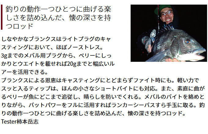 Fishman 【取り寄せ商品】 フィッシュマン ビームス ローワー