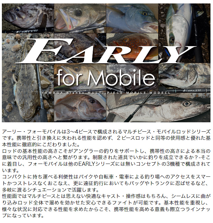 ヤマガブランクス アーリー 96MMH for モバイル (シーバスロッド) 2022