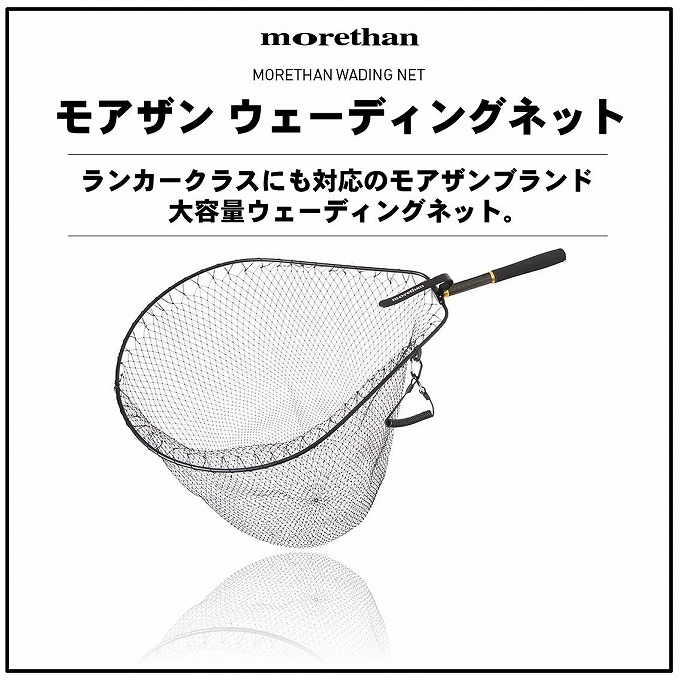 DAIWA（ダイワ） 【目玉商品】 モアザン ウェーディングネット