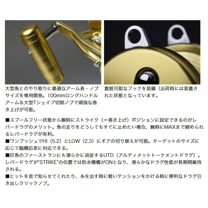 DAIWA（ダイワ） シーラインLD60 2 SP 右ハンドル (レバードラグリール