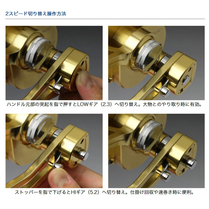 DAIWA（ダイワ） シーラインLD60 2 SP 右ハンドル (レバードラグリール