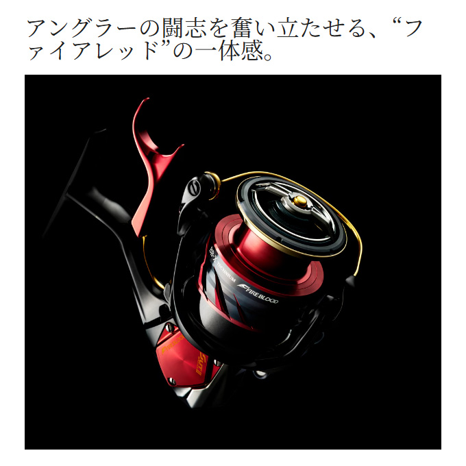 新型　ファイアブラッド　テクニウム　C3000DXXGS 左巻き 楽天市場】【ｼﾏﾉ(SHIMANO)】19 BB-X ﾃｸﾆｳﾑﾌｧｲｱﾌﾞﾗｯﾄﾞC3000DXGS 左 磯