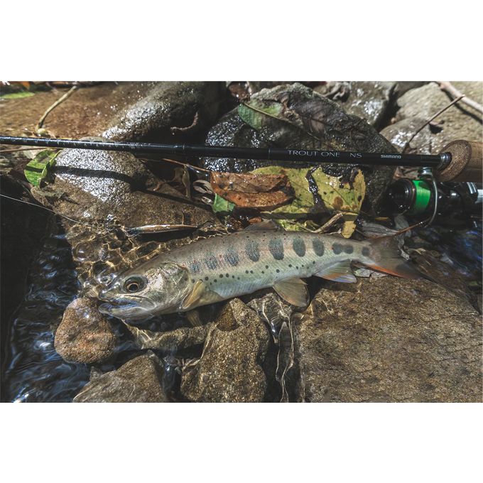 シマノ（SHIMANO） 24 トラウトワン NS B47UL-4 (トラウトロッド