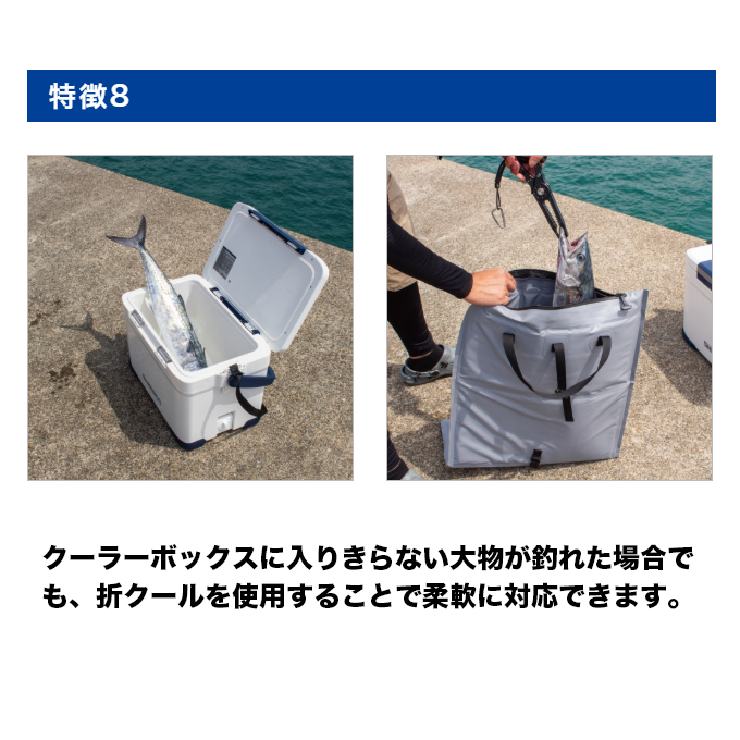 第一精工（DAIICHISEIKO） 折クール ORI COOL 32L (フィッシュクーラー