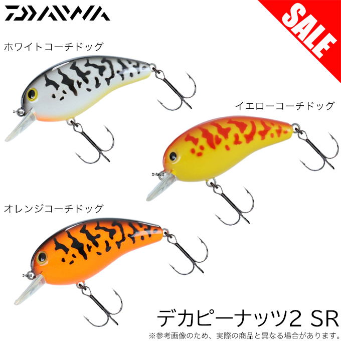 d1-d-pnt2-sr.jpg