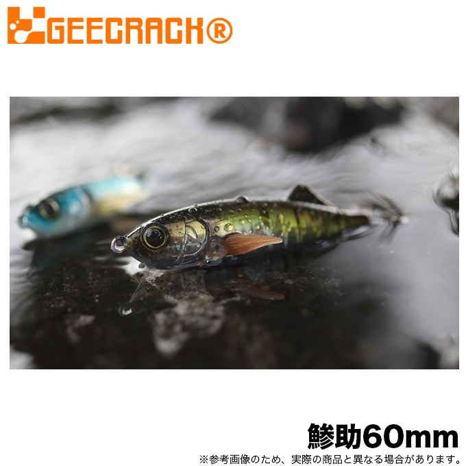 gc-ajisuke60.jpg