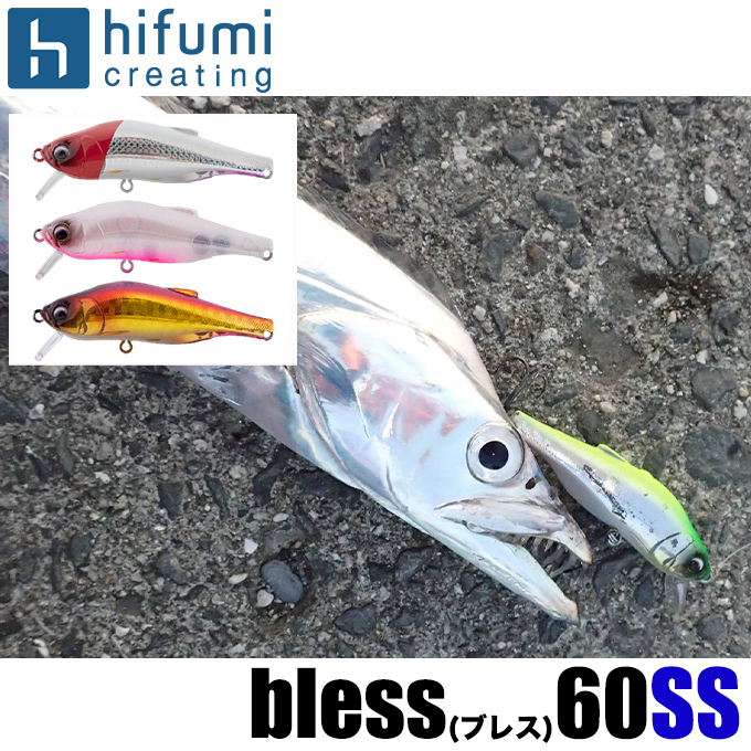 123-bles60ss.jpg