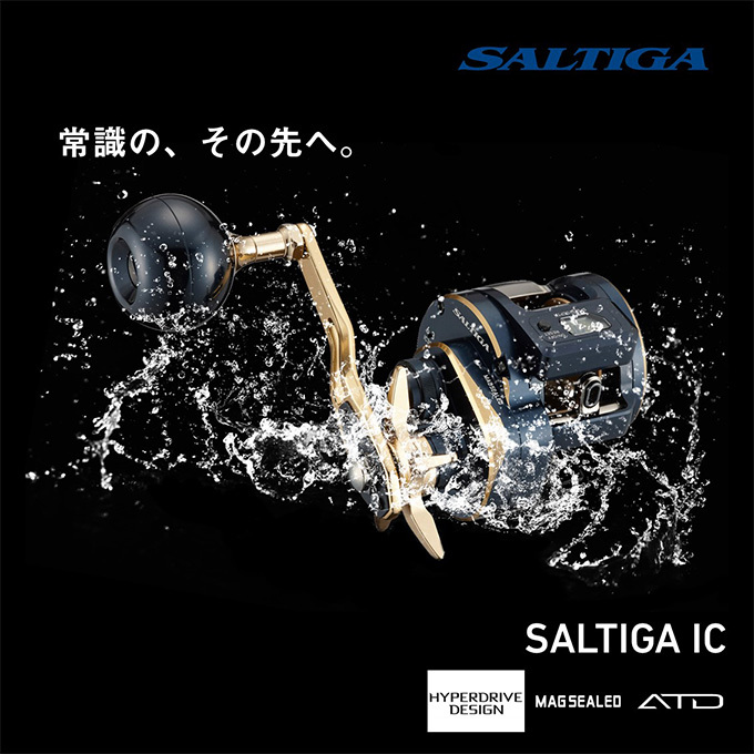 DAIWA（ダイワ） 21 ソルティガ IC 300H-SJ (右ハンドル) 2021年モデル