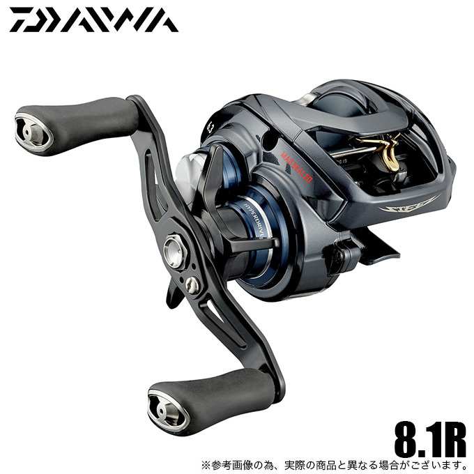 DAIWA（釣り） ダイワ STEEZ (スティーズ) A TW HLC 8.1R (右