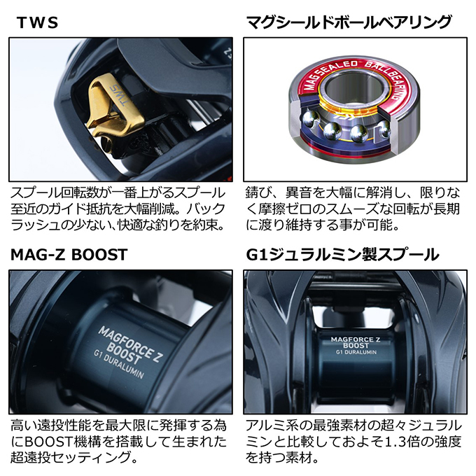 DAIWA（ダイワ） STEEZ (スティーズ) A TW HLC 8.1L (左ハンドル) 2021