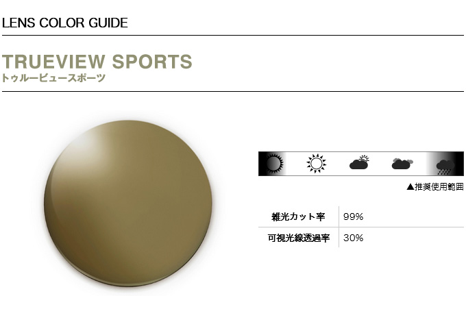 DAIWA（釣り） ダイワ TLX 015 TRUEVIEW SPORTS (偏光グラス