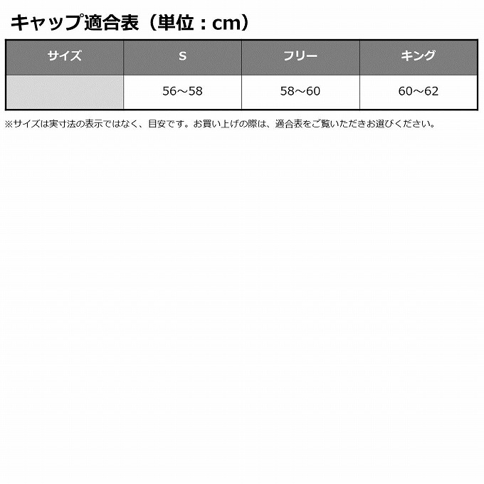 DAIWA（釣り） ダイワ DC-8123 (ビーチ／フリー) ストローライク