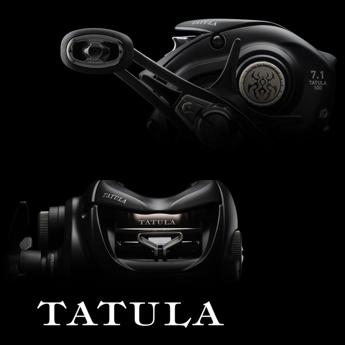 Daiwa TATULA SV TW 100H L 左ハンドルリール 4550133256608.jpg