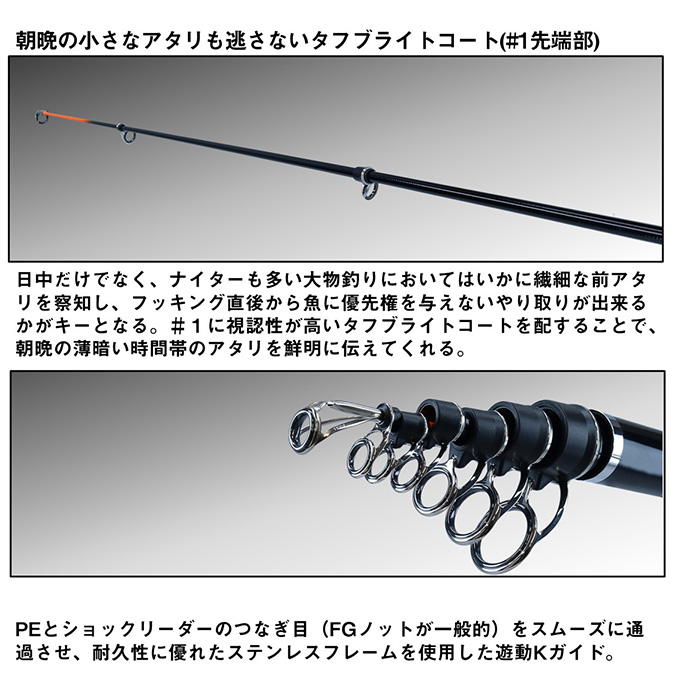 DAIWA（釣り） ダイワ 25 BKG バトルゲーム ブッコミゲーム T MH