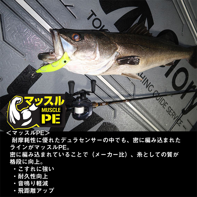 DAIWA（ダイワ） (3号 200m) ベイトキャスティングデュラセンサー×12EX