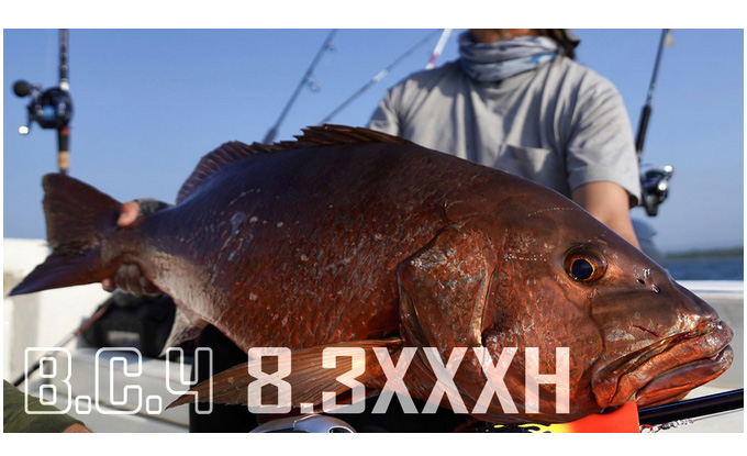 フィッシュマンBC4 XXXH フィッシュマン】 BC4 ブリスト コンパクト 8.3XXXH 83XXXH