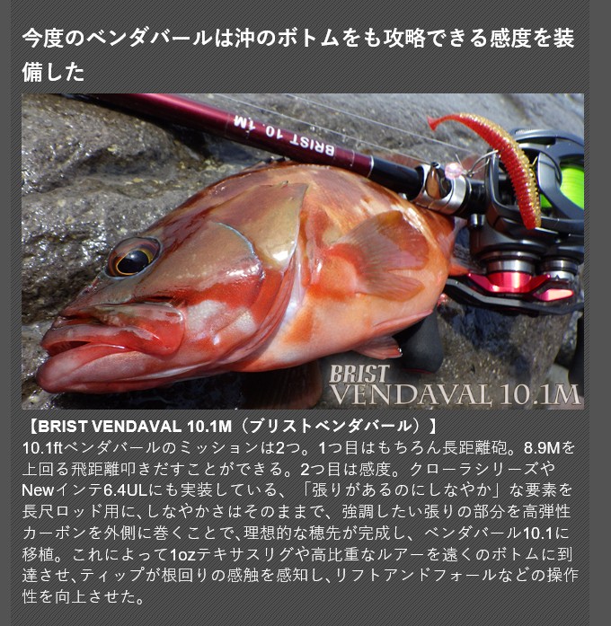 BRIST VENDAVAL10.1M（ブリストベンダバール）| シーバス、ハタ