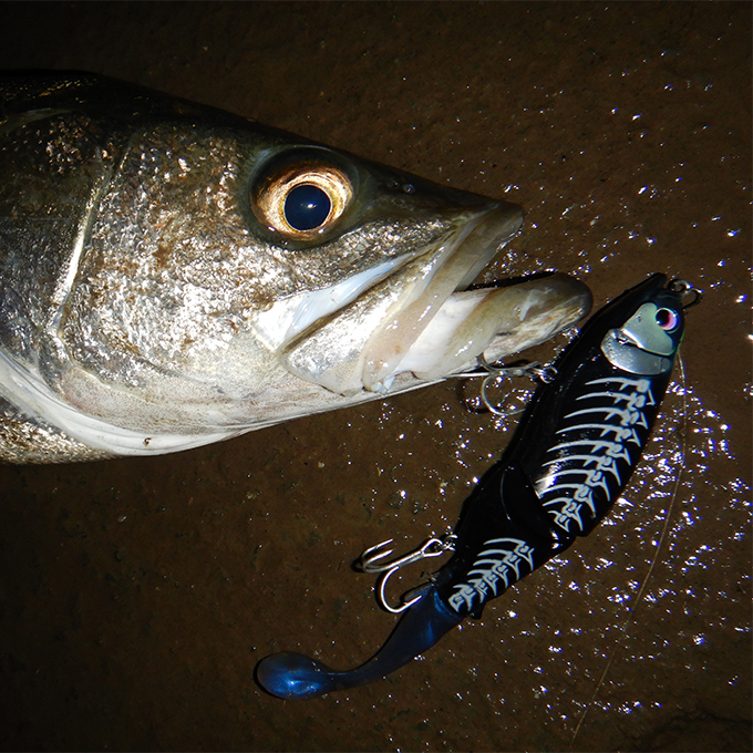 ヒフミクリエイティング ブルージュ 190F (カラー：03黒魚骨式「烏