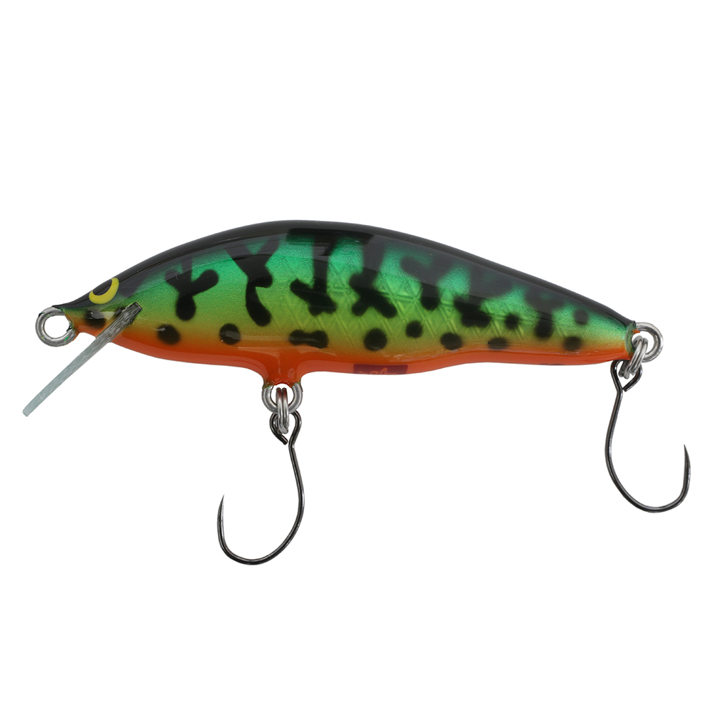 5)WooDream ウッドリーム アルボル 50S ホットコーチ (HCD