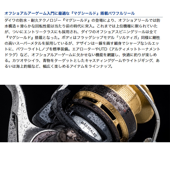 DAIWA（釣り） 【目玉商品】ダイワ ヴァデル 4000H (スピニング