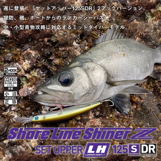 DAIWA（釣り） 【目玉商品】ダイワ ショアラインシャイナーZ