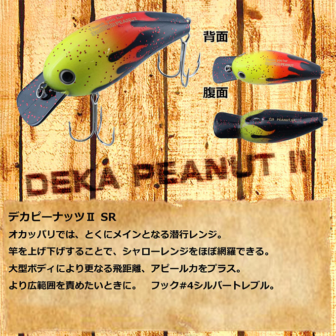 DAIWA（ダイワ） 【限定商品】ダイワ デカピーナッツIISR ピーナッツ