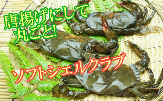 ソフトシェルクラブ