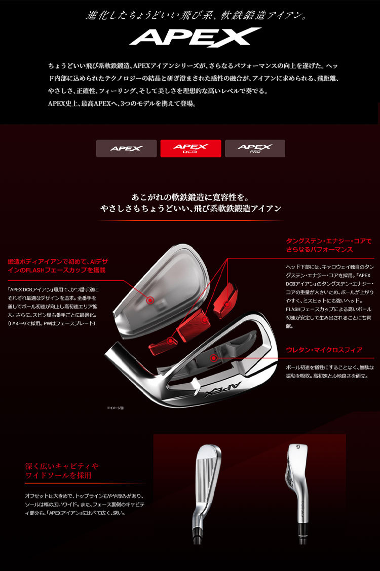 Callaway キャロウェイ ゴルフ APEX DCB エイペックス アイアン