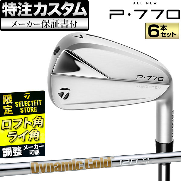 テーラーメイド P770 アイアンセット 6本組(#5-PW) DynamicGold 120