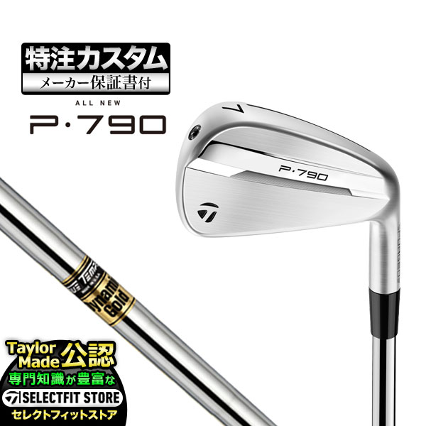 【メーカーカスタム】テーラーメイド New P790 アイアン('25)単品 DynamicGold ダイナミックゴールド スチール｜F-NET GOLF Yahoo!店