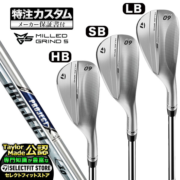ミズノプロ　223　アイアンセット　6本　モーダス115 S／MIZUNOPRO Mizuno Pro 223 アイアン6本セット モーダス115 Mizuno Pro 223