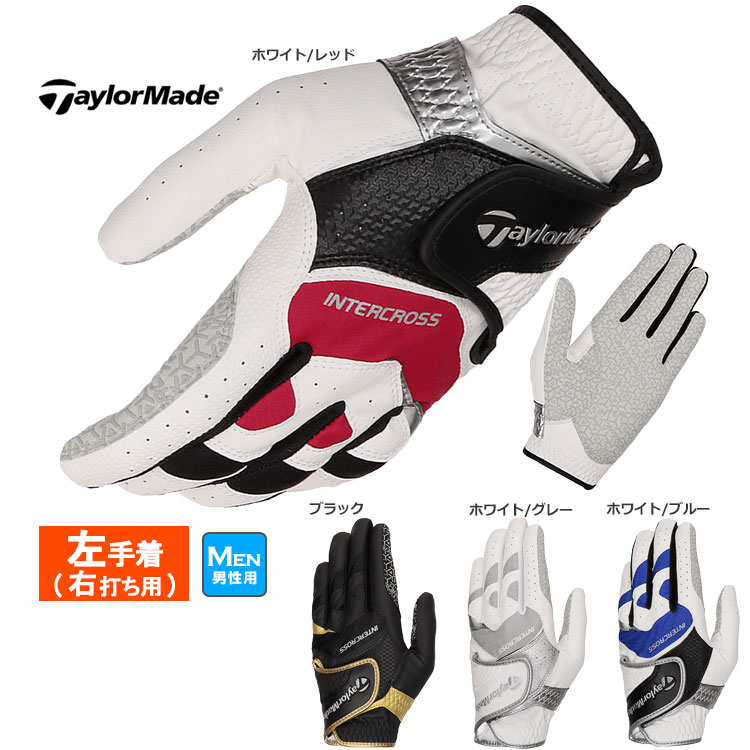 e[[Ch St UN146 C^[NX 6.0 O[u  (蒅/Ełp)  (Y)