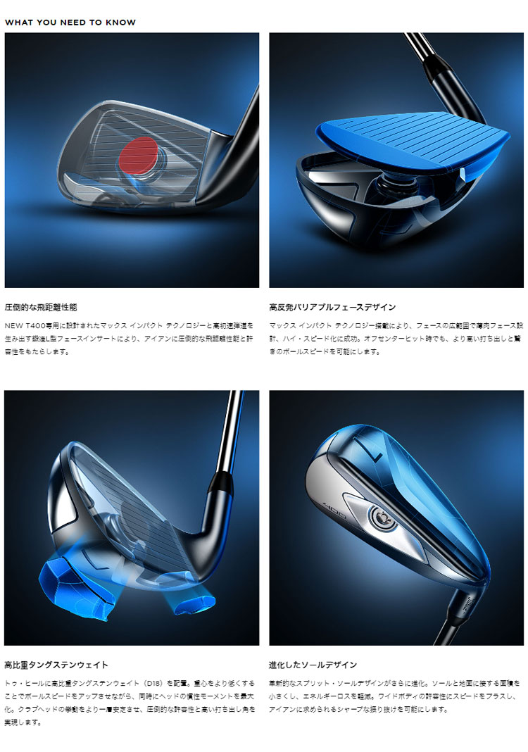タイトリスト ゴルフ T400 II アイアン 5本セット [#7-P、W（43）] NSプロ N.S.PRO 880 AMC スチールシャフト 553RSS7WJ | Titleist | 02
