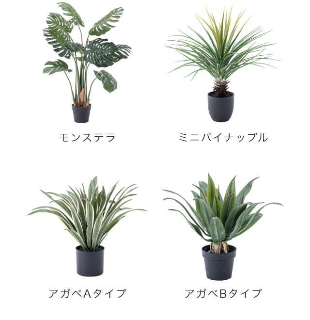 プランター おしゃれ 植木鉢 鉢植え 観葉植物をセンス良くおしゃれに飾れる！ ウッドプランターS GUY-813 軽量 プレゼント ギフト 8号用  シンプル :58-244-373:家具のホンダ Yahoo!店 - 通販 - Yahoo!ショッピング