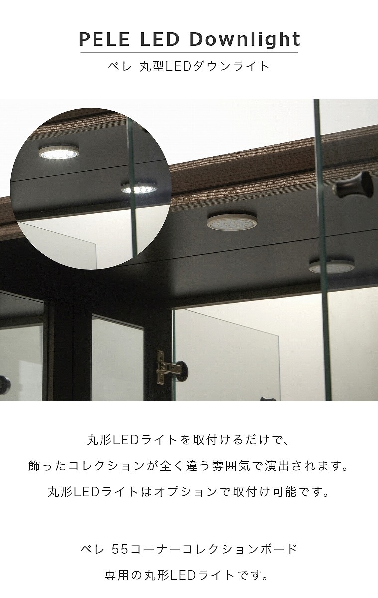 丸形LEDライトはオプションで取付け可能です