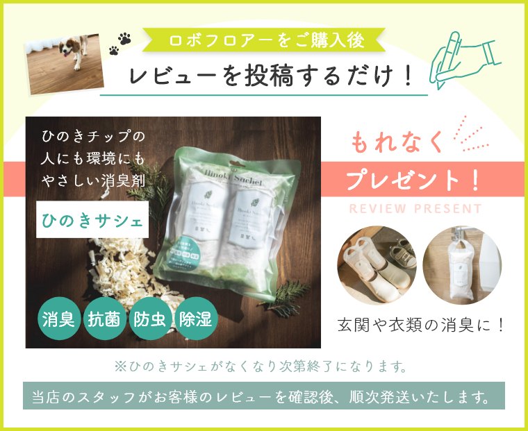 レビューキャンペーン