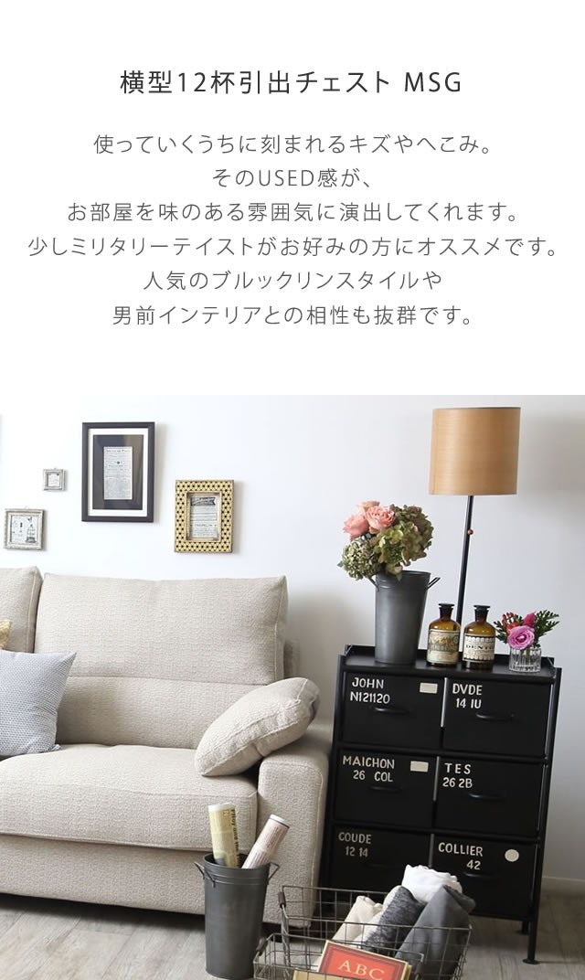 ienowa（イエノワ） 横型12杯引出チェスト MSG ienowa 収納家具 収納