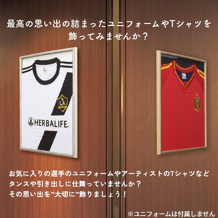 ユニフォーム額縁 コンパクトタイプ L219 Sサイズ 41×52.5cm ケース