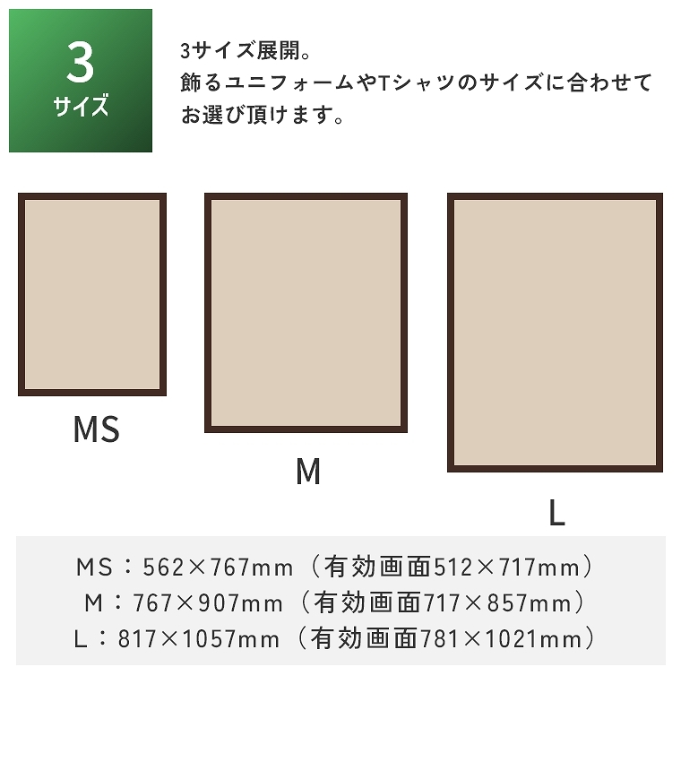ユニフォーム額縁 スタンダードタイプ L205 MSサイズ 56.2×76.7cm 木目
