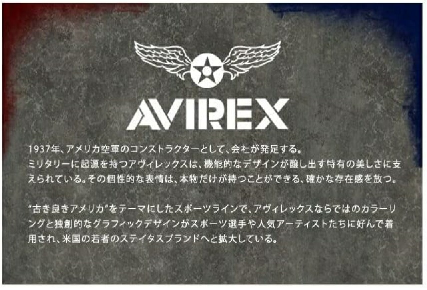 AVIREX (アヴィレック ス)AV2278 2022年FW新色モデル DICTATOR MC