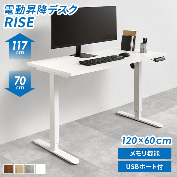 【1000円値下】ゲーミングデスク電動昇降デスク昇降式デスク 幅120×奥行60 昇降デスク 120 デスク 昇降式デスク 電動 昇降式テーブル USB