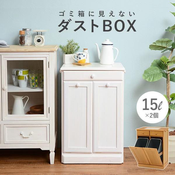 ダストボックス 分別 おしゃれ キッチン ごみ箱 分別 ゴミ箱 2分別ダストボックス 15L×2個｜f-space