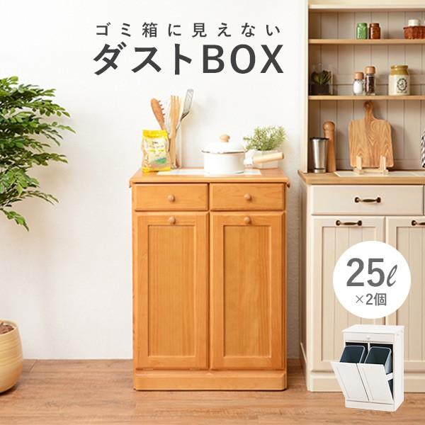 ダストボックス 分別 おしゃれ キッチン ごみ箱 分別 ゴミ箱 2分別ダストボックス 25L×2個｜f-space