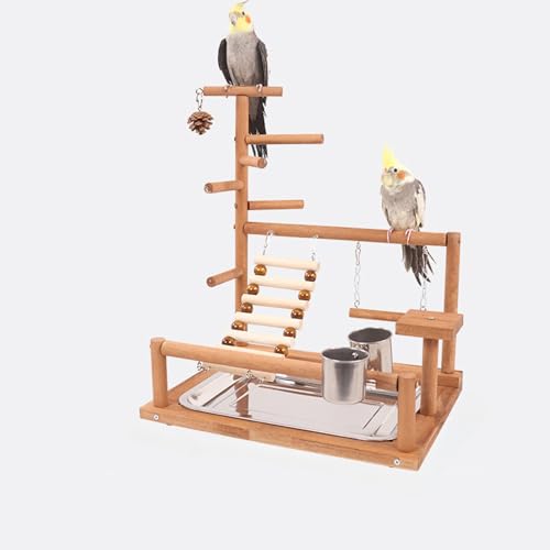 バードアスレチックのおすすめ人気商品一覧 通販 - Yahoo!ショッピング