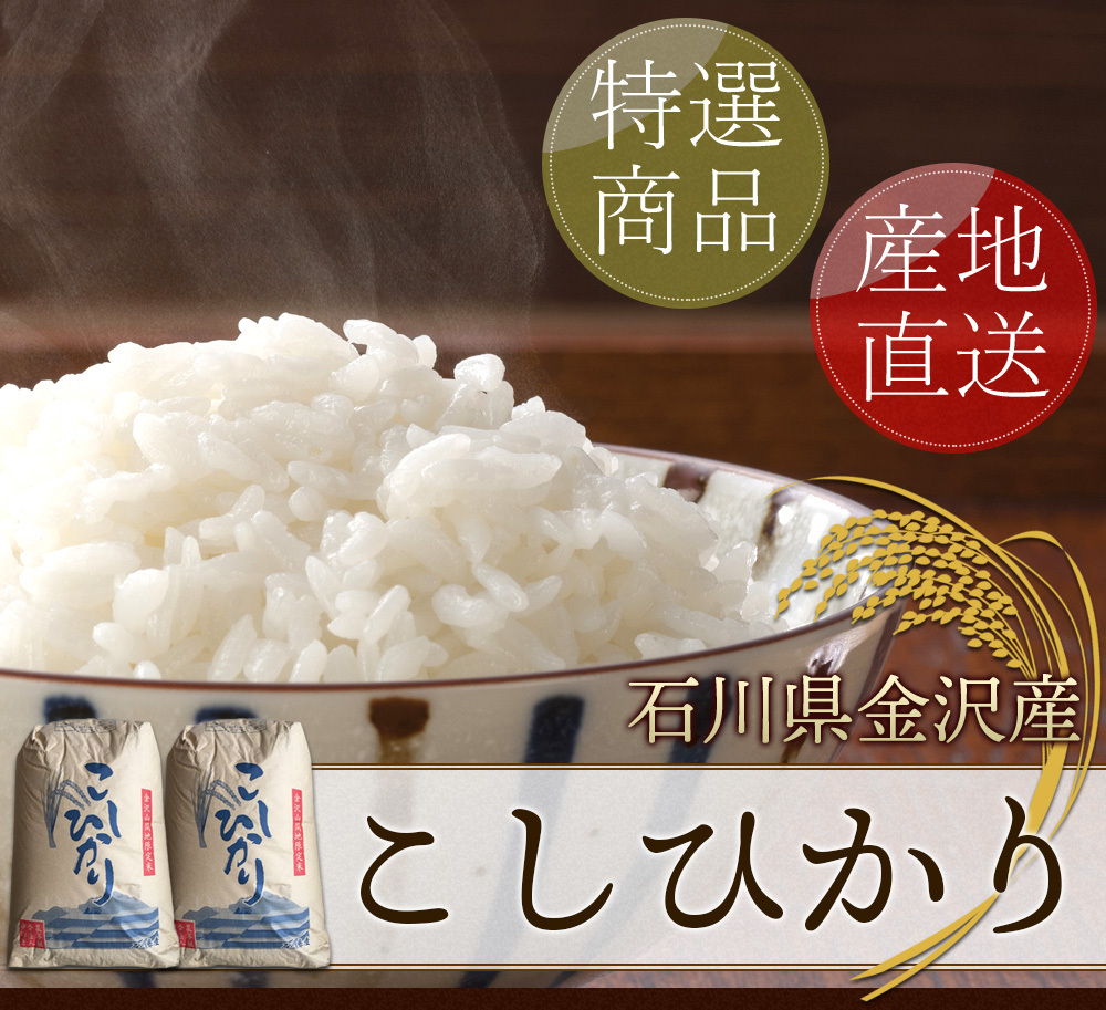 こしひかり 玄米 30kg 新米 令和５年度 石川産 送料無料 : mv1qmaf6a3