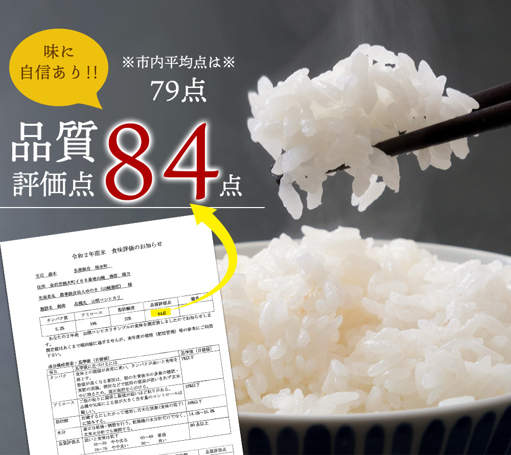 こしひかり 玄米 30kg 新米 令和５年度 石川産 送料無料 : mv1qmaf6a3