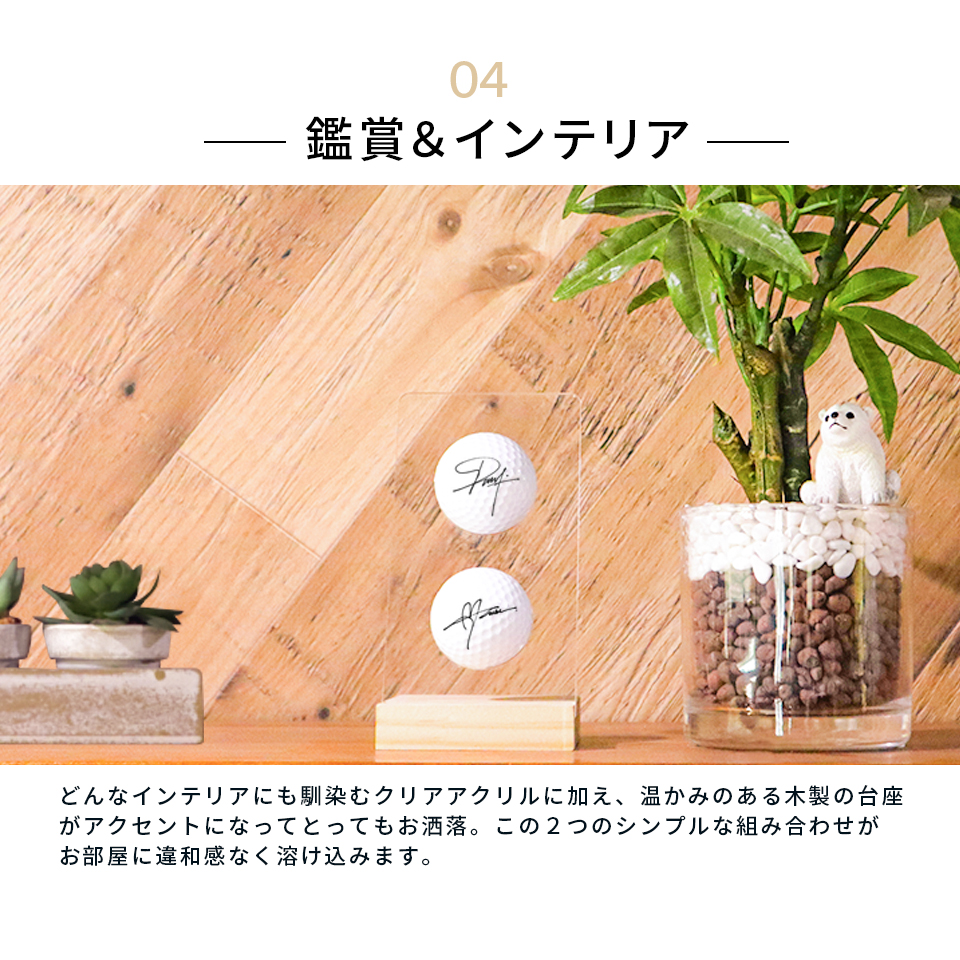 ゴルフボールスタンド (ゴルフボールをおしゃれに飾れる) ディスプレイ サインボール 飾る プレゼント 父の日 コンペ 景品(golfgoods02) | MARCAM | 07