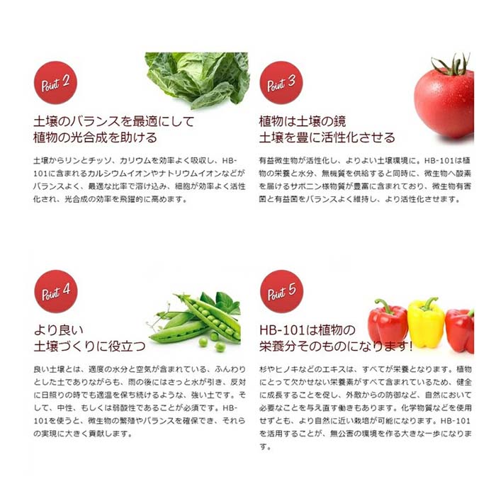 植物活力剤 バイオ 天然 ガーデニング ガーデン 花 園芸 植物 栽培 野菜作り 有機栽培 栄養分 原液 肥料 【☆60】/フローラ植物活力剤HB-101即効性原液1L_3
