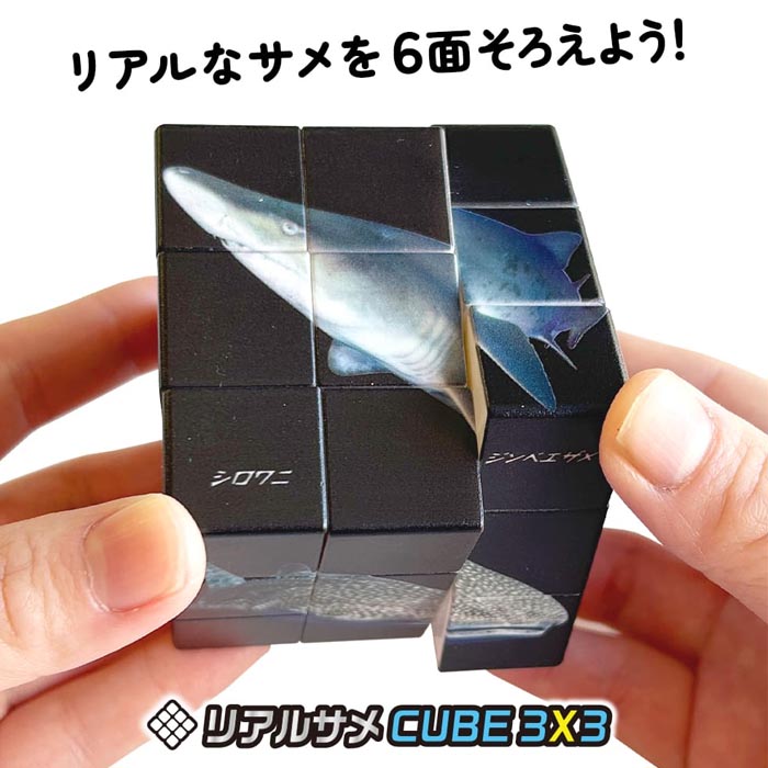 6面パズルの商品一覧 通販 - Yahoo!ショッピング