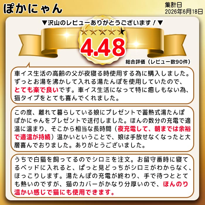 湯たんぽ 蓄熱式 充電式 電気湯たんぽ 猫型カ...の詳細画像1
